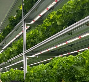 brick street farms