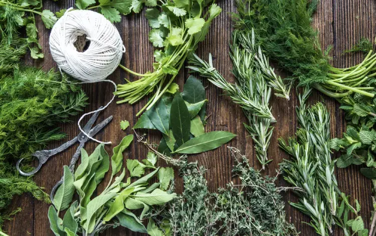 Preserving the Essence of Summer